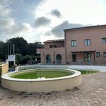 content-gallery-6-large