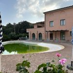 content-gallery-6-large