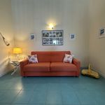 content-gallery-6-large