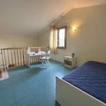 content-gallery-6-large