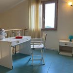 content-gallery-6-large