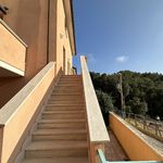 content-gallery-6-large