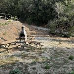 content-gallery-6-large