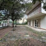 content-gallery-6-large