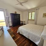 content-gallery-6-large