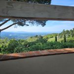 content-gallery-6-large