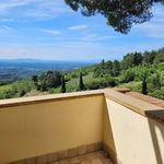 content-gallery-6-large