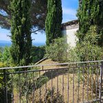 content-gallery-6-large