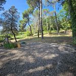 content-gallery-6-large