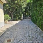 content-gallery-6-large