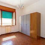 content-gallery-6-large