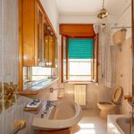 content-gallery-6-large