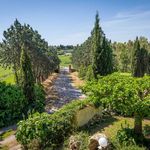 content-gallery-6-large