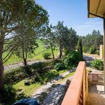 content-gallery-6-large