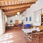 content-gallery-6-large