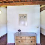 content-gallery-6-large