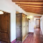 content-gallery-6-large