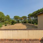 content-gallery-6-large