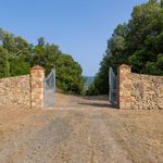 content-gallery-6-large