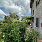 content-gallery-6-large