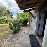 content-gallery-6-large