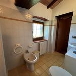 content-gallery-6-large
