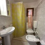 content-gallery-6-large