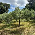 content-gallery-6-large