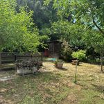 content-gallery-6-large