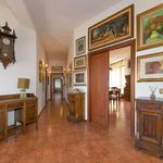 content-gallery-6-large