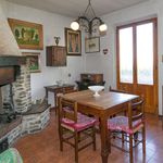 content-gallery-6-large