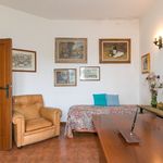content-gallery-6-large