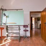 content-gallery-6-large