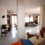 content-gallery-6-large