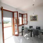 content-gallery-6-large