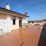 content-gallery-6-large