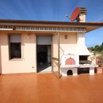 content-gallery-6-large