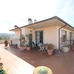 content-gallery-6-large