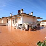 content-gallery-6-large