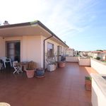 content-gallery-6-large