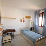 content-gallery-6-large