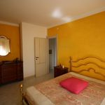 content-gallery-6-large