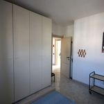 content-gallery-6-large