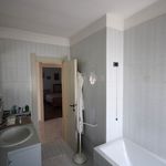 content-gallery-6-large