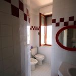 content-gallery-6-large