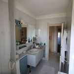 content-gallery-6-large