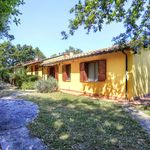 content-gallery-6-large