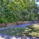 content-gallery-6-large