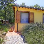 content-gallery-6-large