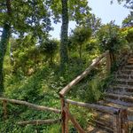 content-gallery-6-large